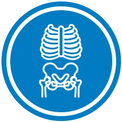 X-Ray Icon